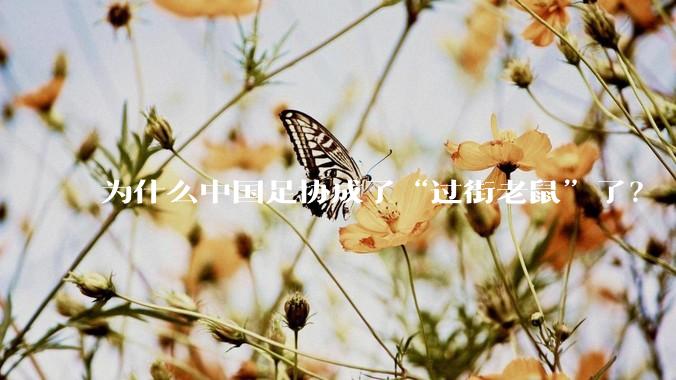 为什么中国足协成了“过街老鼠”了？