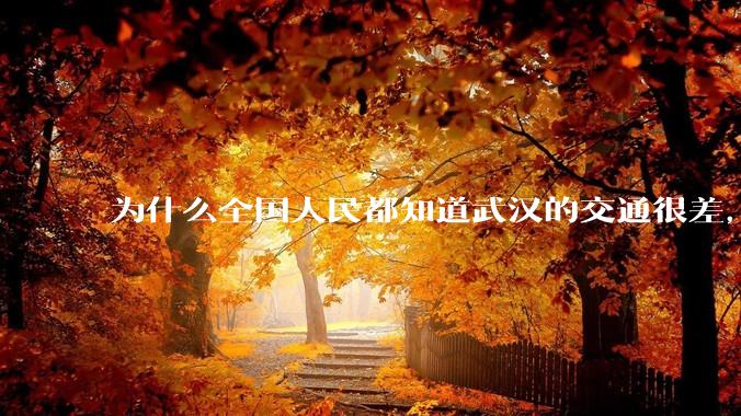 为什么全国人民都知道武汉的交通很差，但是武汉人不知道？