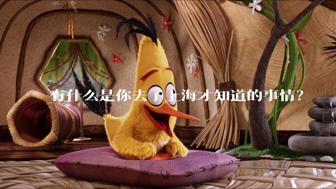 有什么是你去了上海才知道的事情？